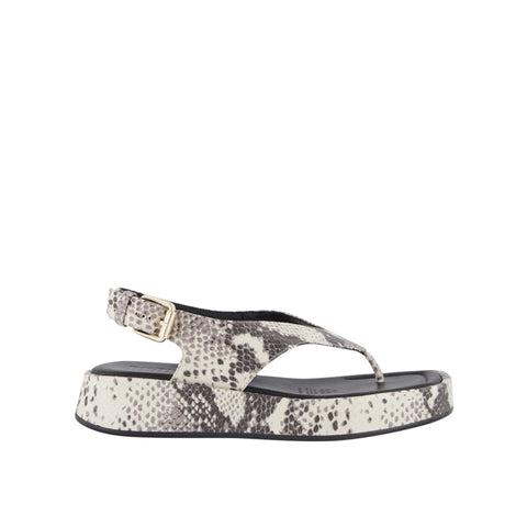 Jocelyn - Natural Snake