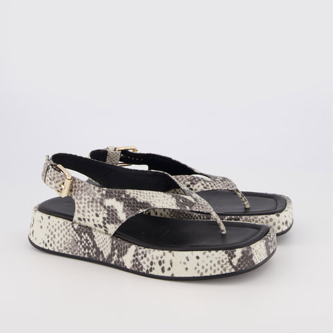 Jocelyn - Natural Snake