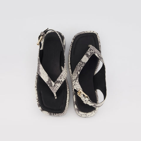 Jocelyn - Natural Snake