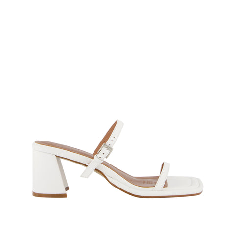 Lucia - White Orchid