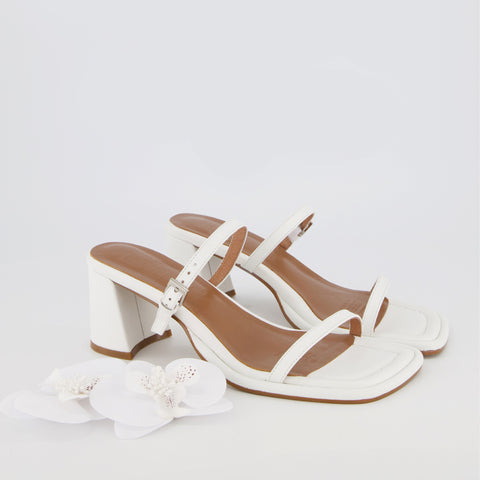 Lucia - White Orchid