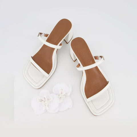 Lucia - White Orchid