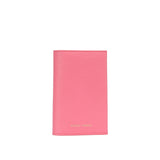 Passport Wallet - Frosting