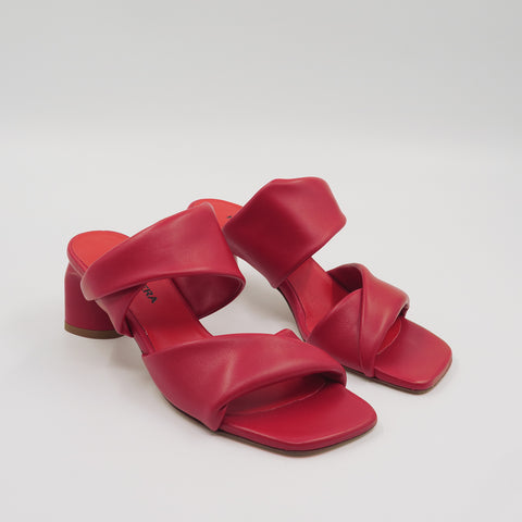 June - Scarlet