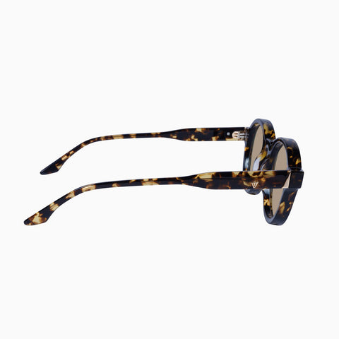 Motel - Clear Tort/Dark Brown Lens