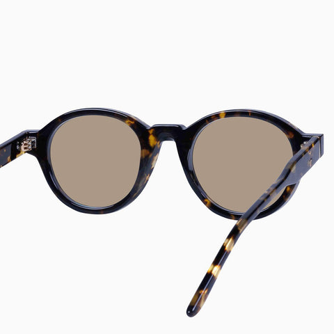 Motel - Clear Tort/Dark Brown Lens