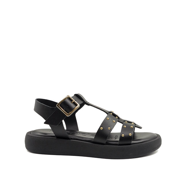 Albers - Black