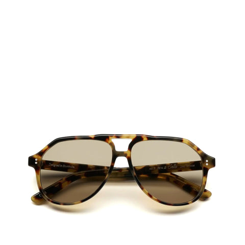Sally - Lica Tortoise